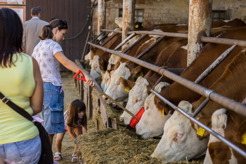 Kraj má novou vesnici roku, která se pyšní i nejlepší knihovnou