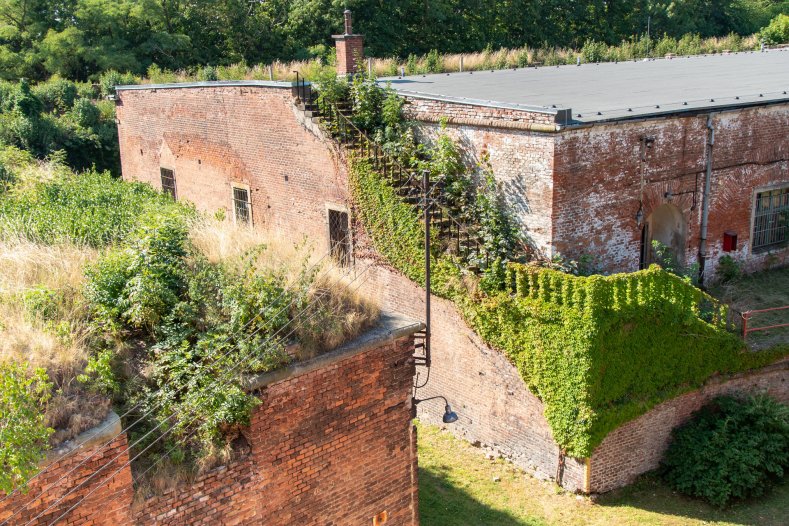  V Olomouci vznikne muzeum zdraví. Připravuje ho kraj společně s nemocnicí
