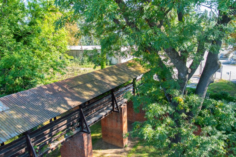  V Olomouci vznikne muzeum zdraví. Připravuje ho kraj společně s nemocnicí
