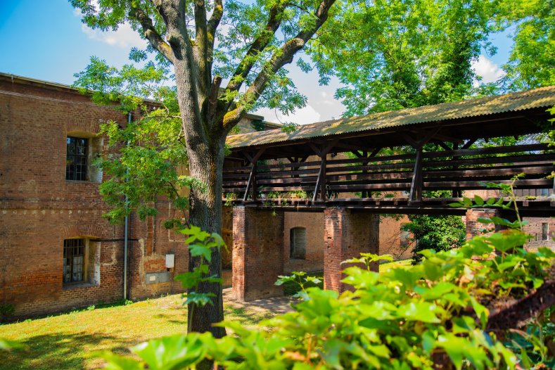  V Olomouci vznikne muzeum zdraví. Připravuje ho kraj společně s nemocnicí
