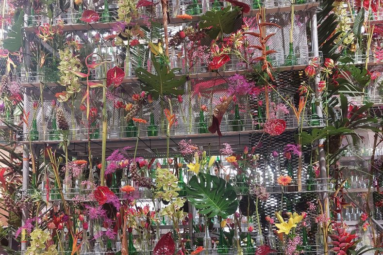 Hodně květin - Flóra Olomouc