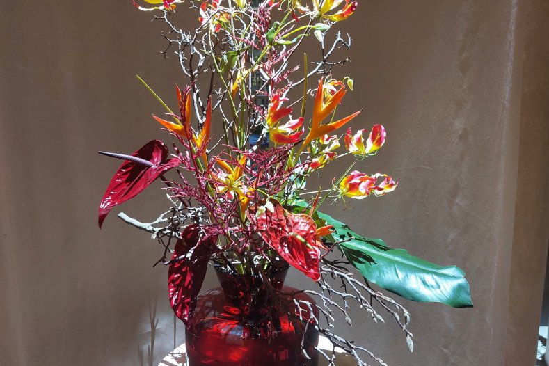 Květina-Flóra Olomouc