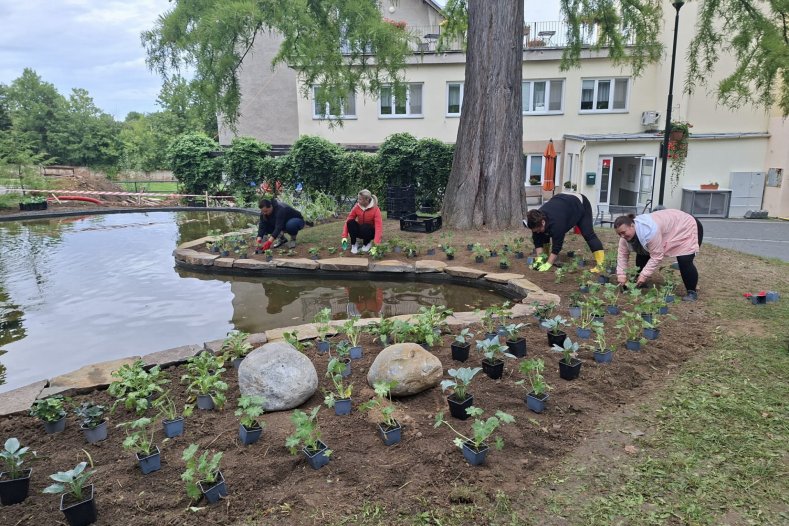  Zaměstnanci Olomouckého kraje vyměnili kanceláře za terén. Pomáhali v krajských organizacích a poznávali jejich každodenní realitu

