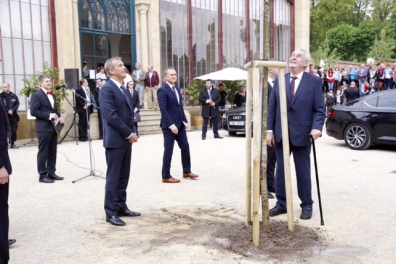 Vysazením památného stromu završil prezident Miloš Zeman návštěvu Olomouckého kraje
