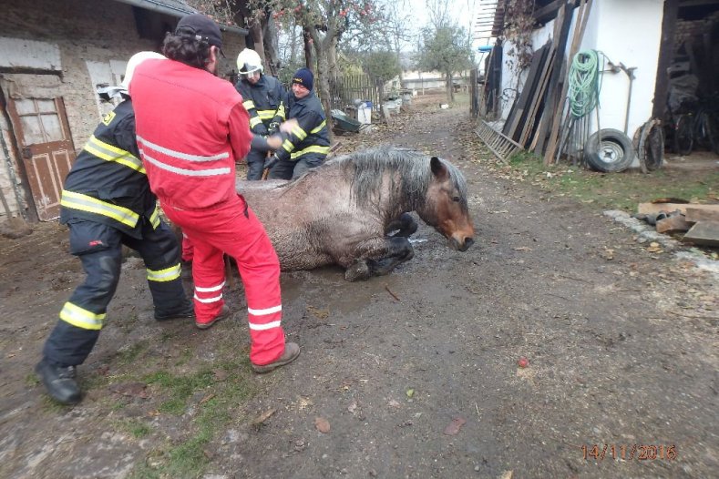 Kuriózní zásahy hasičů v roce 2016