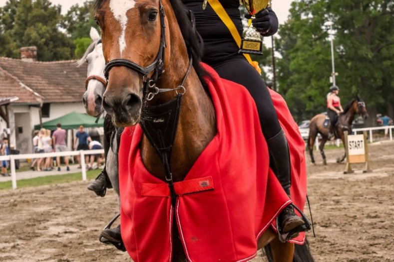 Závod koní už poosmé pomohl hendikepovaným dětem a starším lidem     Foto: Tereza Bláhová