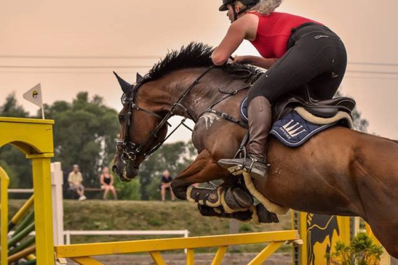 Závod koní už poosmé pomohl hendikepovaným dětem a starším lidem     Foto: Tereza Bláhová