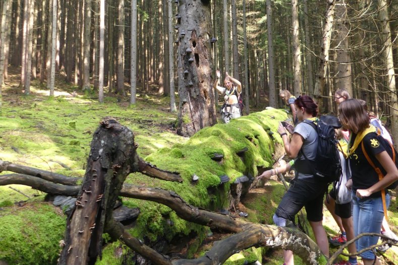 Kraj podpoří vznik přírodních učeben, smyslových stezek i ekologické aktivity na školách     Ilustrační foto