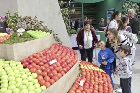 Flora Olomouc Hortikomplex 2026 odstartoval, výstava potrvá do neděle