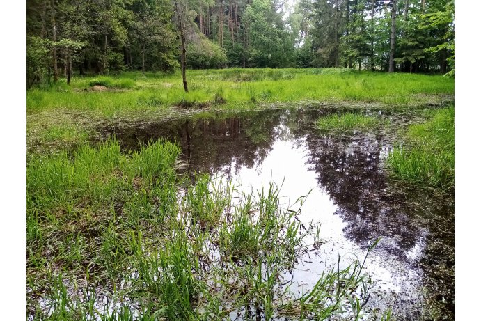 interiér přírodní památky_TB