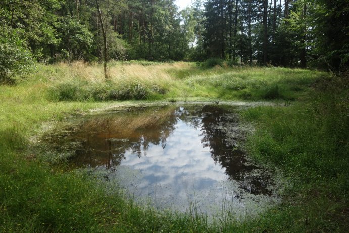 pohled na tůň v památce_TB