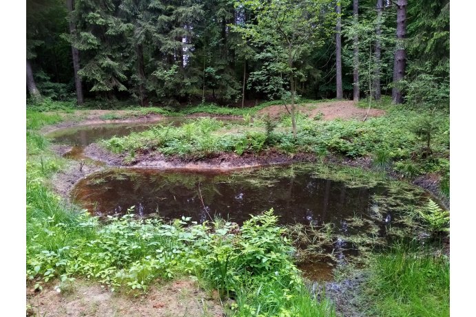 Rašeliniště v Klozovci_TB