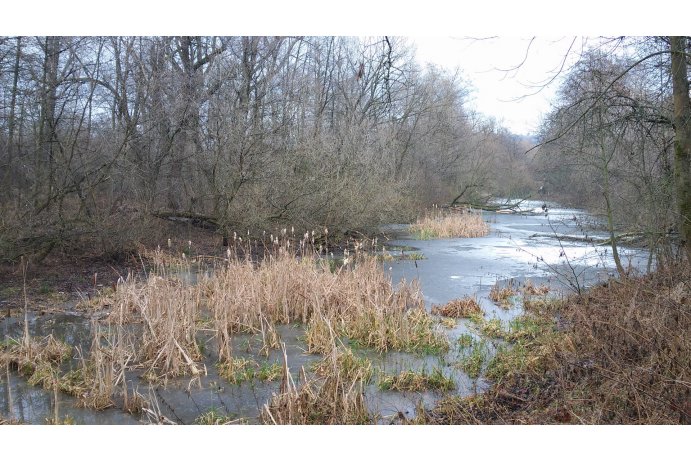 Škrabalka v zimě_archiv