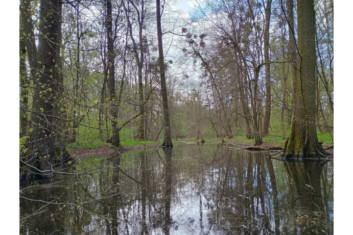 jarní PR Království_DŘ