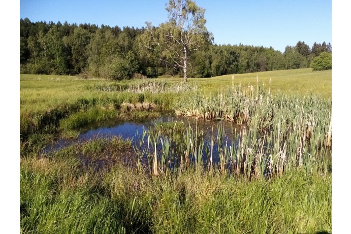 pohled na tůně_TB
