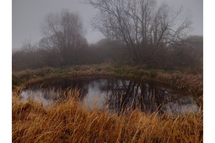 tůň v PR Uhliska_MHu