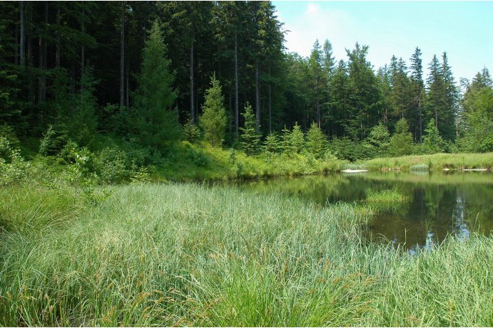 přírodní památka Černé jezero_FJ