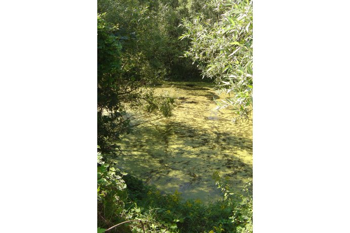biotop svinutce tenkého_ES