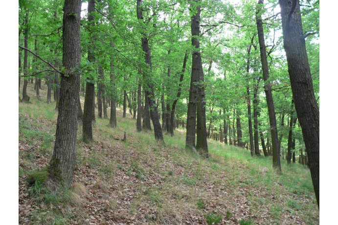 PR Andělova zmola_archiv