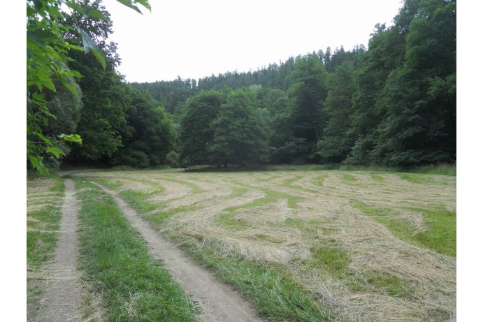 louka v PR po seči_archiv